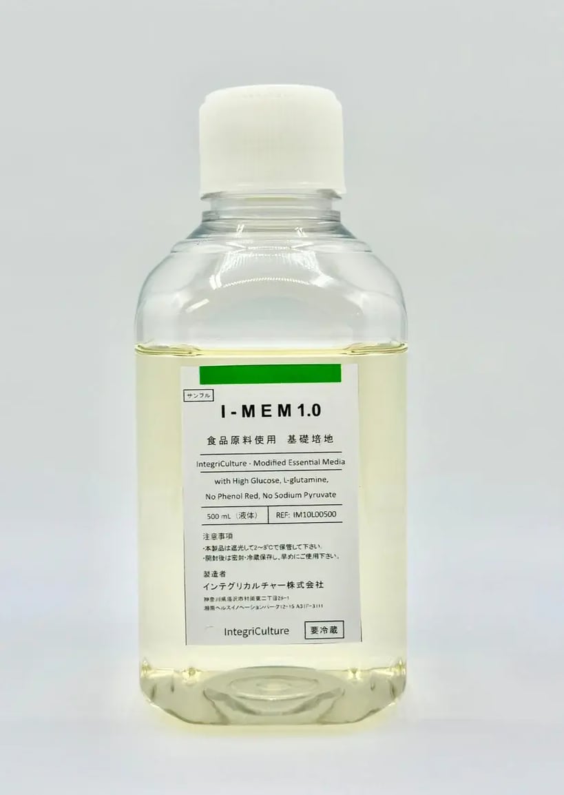 I-MEM1.0
